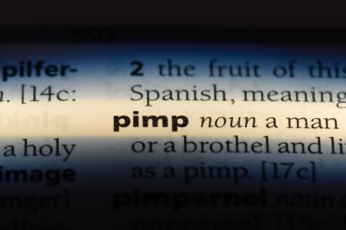 bir sözlüğü'ndeki pezevenk sözcüğü. pezevenk kavramı.