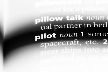 Pilot tek kelimeyle bir sözlük. Pilot kavramı.
