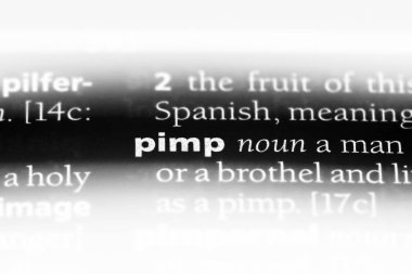 bir sözlüğü'ndeki pezevenk sözcüğü. pezevenk kavramı.