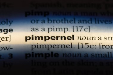 bir sözlüğü'ndeki Farekulağı'sözcüğü. Farekulağı'kavramı.