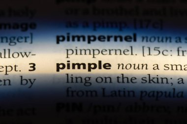 sivilce Word'de bir sözlük. sivilce kavramı.