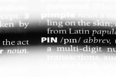 bir sözlüğü'ndeki toplu iğne sayı sözcüğü. toplu iğne sayı kavramı.