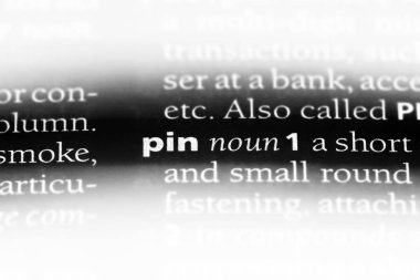 PIN Word'de bir sözlük. PIN kavramı.