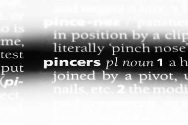 Kerpeten Word'de bir sözlük. Kerpeten kavramı.