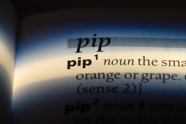 bir sözlüğü'ndeki sözcüğü pasaklı. Pip kavramı.
