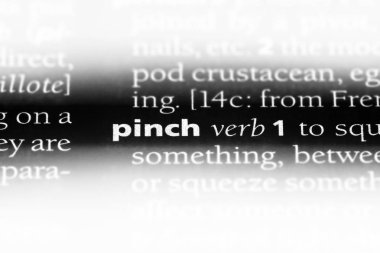 sözcük sözlükte çimdik. çimdik kavramı.