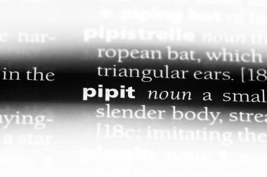 incir kuşu Word'de bir sözlük. incir kuşu kavramı.