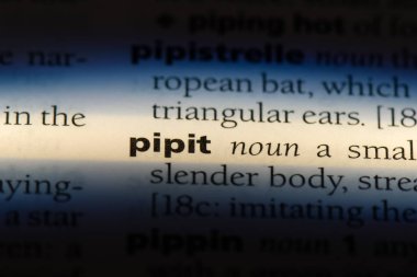 incir kuşu Word'de bir sözlük. incir kuşu kavramı.