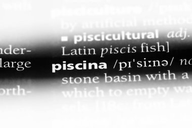 PISCINA sözcük sözlüğe. PISCINA kavramı.