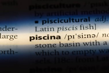 PISCINA sözcük sözlüğe. PISCINA kavramı.