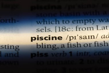 bir sözlüğü'ndeki Piscine sözcüğü. Piscine kavramı.