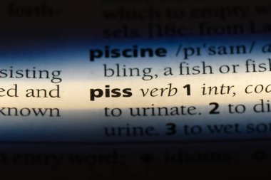 bir sözlük Word'de git. sidik kavramı.