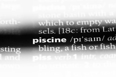bir sözlüğü'ndeki Piscine sözcüğü. Piscine kavramı.