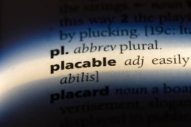 placable tek kelimeyle bir sözlük. placable kavramı.