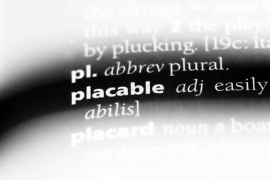 placable tek kelimeyle bir sözlük. placable kavramı.