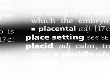 bir sözlüğü'ndeki yer ayarı sözcüğü. yer kavramı.