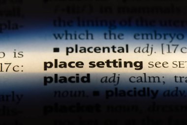 bir sözlüğü'ndeki yer ayarı sözcüğü. yer kavramı.