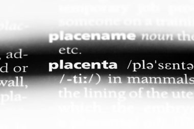 Plasenta Word'de bir sözlük. Plasenta kavramı.