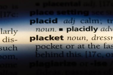 bir sözlüğü'ndeki placket sözcüğü. placket kavramı.