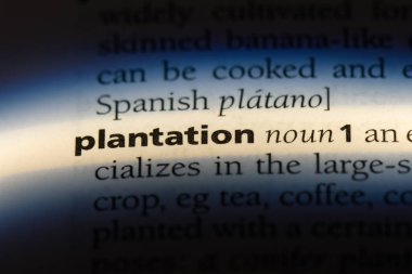 saç ekimi Word'de bir sözlük. saç ekimi kavramı.