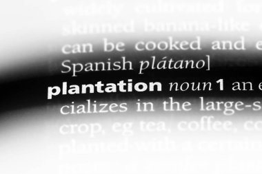 saç ekimi Word'de bir sözlük. saç ekimi kavramı.