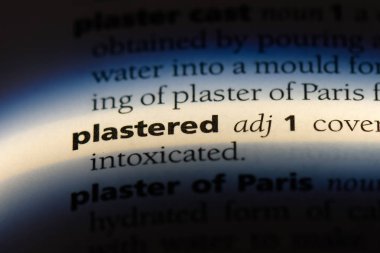 bir sözlüğü'ndeki sıvalı sözcüğü. sıvalı kavramı.