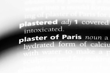 sıva of paris Word'de bir sözlük. sıva of paris kavramı.