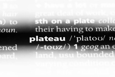 bir sözlüğü'ndeki yayla sözcüğü. yayla kavramı.