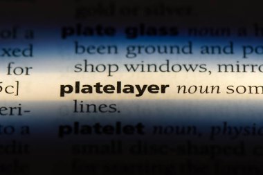 platelayer sözcük sözlüğe. platelayer kavramı.
