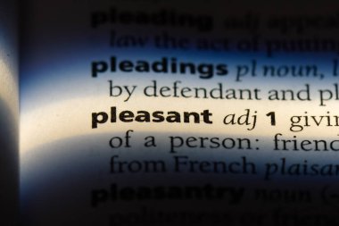 hoş tek kelimeyle bir sözlük. hoş kavramı.