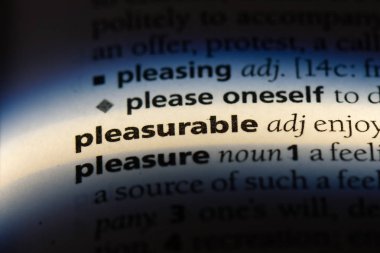 zevk veren tek kelimeyle bir sözlük. zevkli kavramı.