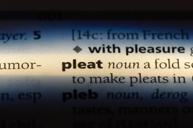 bir sözlüğü'ndeki pli sözcüğü. pli kavramı.