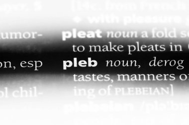 bir sözlüğü'ndeki pleb sözcüğü. pleb concept.