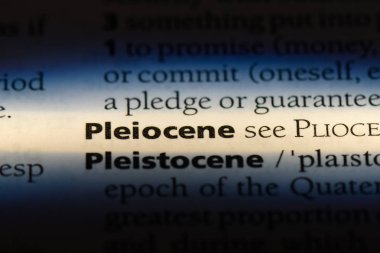 pleiocene sözcük sözlüğe. pleiocene kavramı.