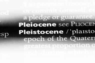 bir sözlüğü'ndeki Pleistosen sözcüğü. Pleistosen kavramı.