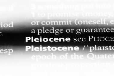 pleiocene sözcük sözlüğe. pleiocene kavramı.