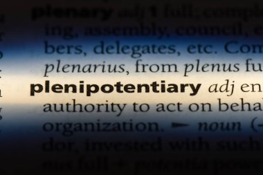 donatory tek kelimeyle bir sözlük. donatory kavramı.