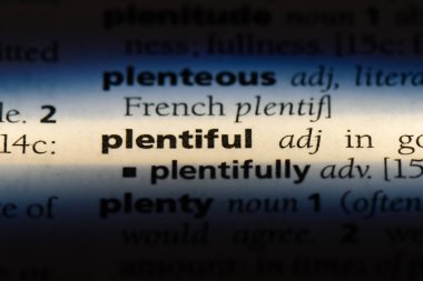 bol kelime sözlüğe. bol kavramı.