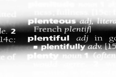 bol kelime sözlüğe. bol kavramı.