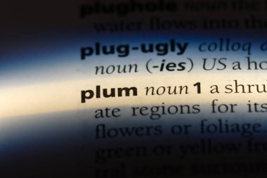 Erik Word'de bir sözlük. Erik kavramı.