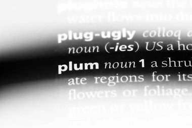 Erik Word'de bir sözlük. Erik kavramı.