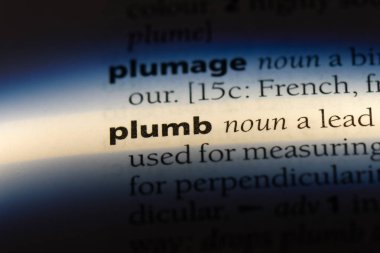 bir sözlüğü'ndeki sözcüğü plumb. kavram çekül.