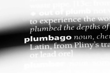 plumbago sözcük sözlüğe. plumbago kavramı.