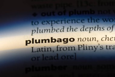 plumbago sözcük sözlüğe. plumbago kavramı.