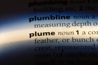 Sözlüğe sözcük tüy. tüy kavramı.