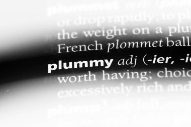 Erik tek kelimeyle bir sözlük. Erik kavramı.