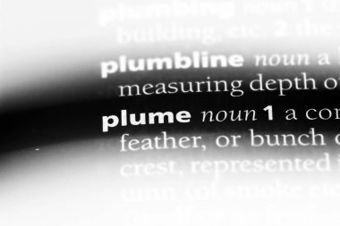 Sözlüğe sözcük tüy. tüy kavramı.