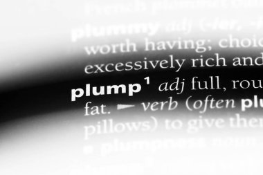 tombul tek kelimeyle bir sözlük. tombul kavramı.