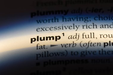 tombul tek kelimeyle bir sözlük. tombul kavramı.