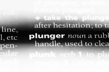 dalgıç Word'de bir sözlük. dalgıç kavramı.